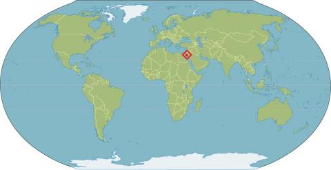 Sinai Peninsula On World Map Dahab | Vetratoria Swiss