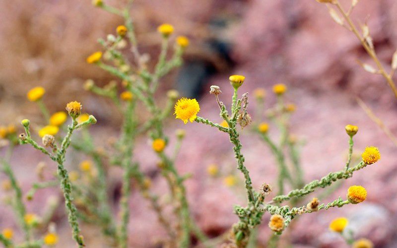 #виндсерфинг в Египте #виндсерфинг в дахабе #отдых в египте #Ветратория