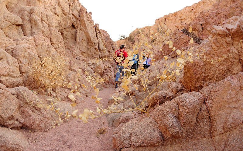 #виндсерфинг в Египте #виндсерфинг в дахабе #отдых в египте #Ветратория