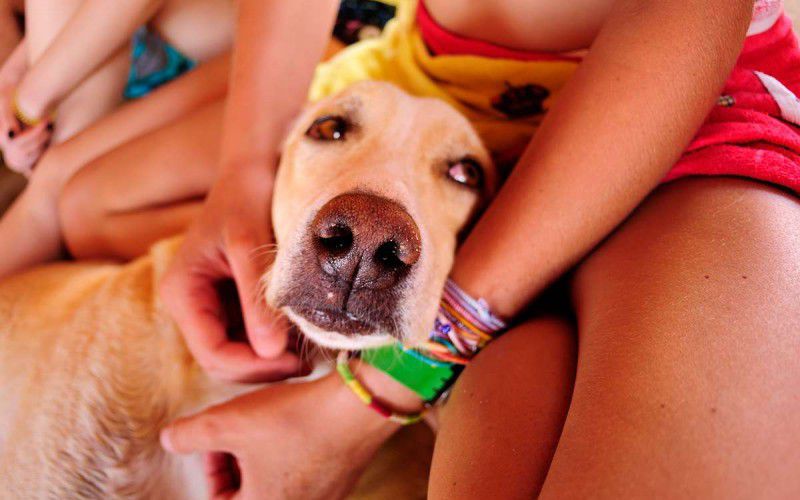 #школа виндсерфинга Ветратория #виндсерфинг в Египте #виндсерфинг в дахабе #отдых в египте #Ветратория #обучение виндсерфингу в Египте #обучение виндсерфингу в Дахабе #курорты Дахаба #курорты Египта #прокат виндсерфинга #уроки виндсерфинга #виндсерфинг фото #виндсерфинг на море #виндсерфинг места #виндсерфинг магазин #доска для виндсерфинга #парус для виндсерфинга #RRD