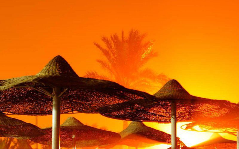 #школа виндсерфинга Ветратория #виндсерфинг в Египте #виндсерфинг в дахабе #отдых в египте #Ветратория #обучение виндсерфингу в Египте #обучение виндсерфингу в Дахабе #курорты Дахаба #курорты Египта #прокат виндсерфинга #уроки виндсерфинга #виндсерфинг фото #виндсерфинг на море #виндсерфинг места #виндсерфинг магазин #доска для виндсерфинга #парус для виндсерфинга #RRD