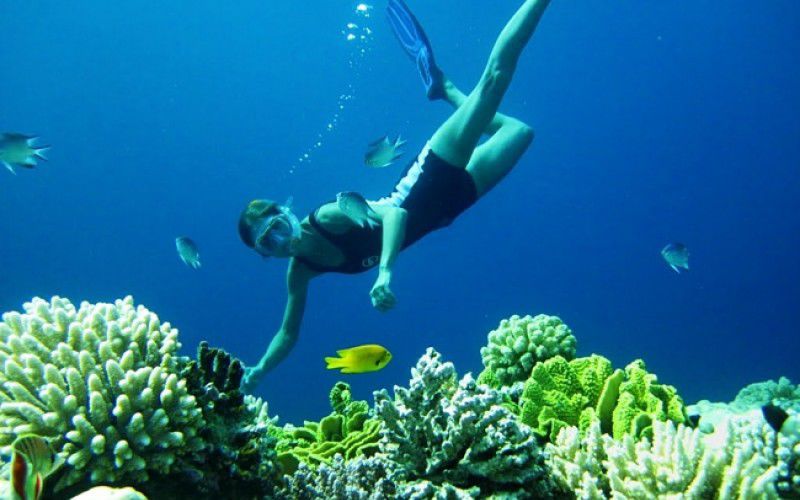 Виндсерфинг в Дахабе. Ветратория