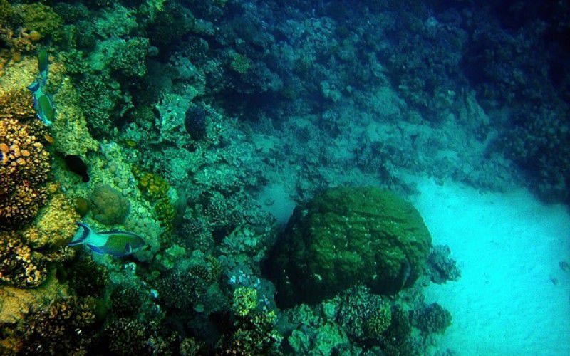 Виндсерфинг в Дахабе. Ветратория