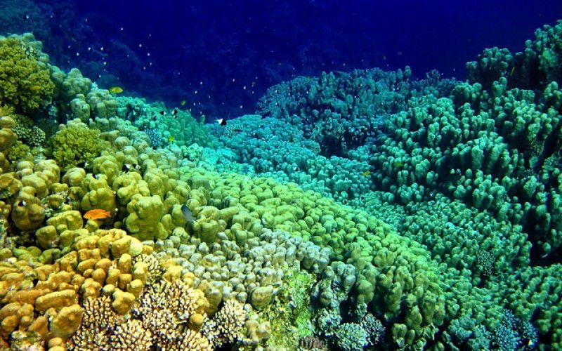 Виндсерфинг в Дахабе. Ветратория