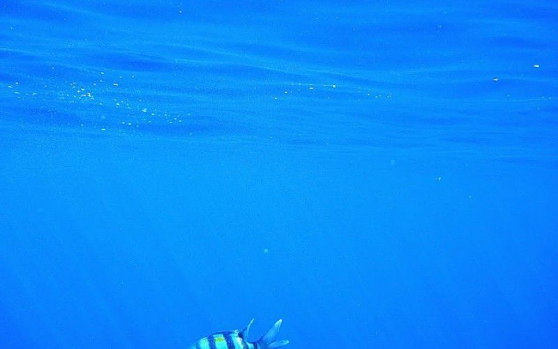 Виндсерфинг в Дахабе. Ветратория