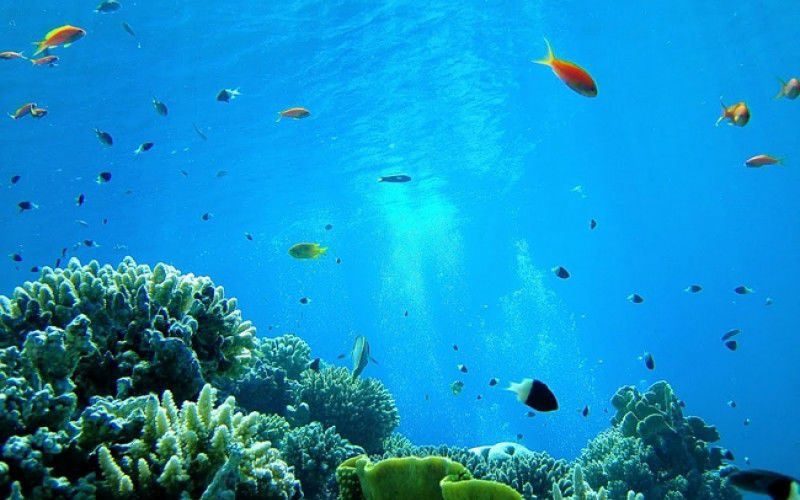 Виндсерфинг в Дахабе. Ветратория