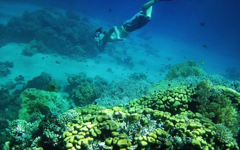 Виндсерфинг в Дахабе. Ветратория